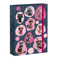 koln box A4 Cat Life REYBAG