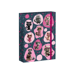 koln box A5 Cat Life REYBAG