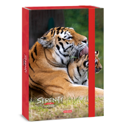 koln box A4 Serenity TIGER ARS UNA