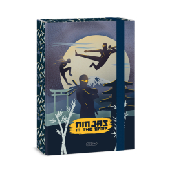 koln box A4 Ninjas in the dark ARS UNA