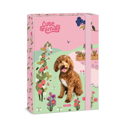 koln box A4 Doggie ARS UNA