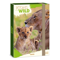 Box na se�ity A4 Lions ARS UNA
