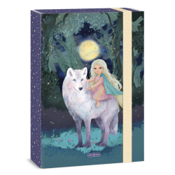 Box na se�ity A4 Northern Lights ARS UNA