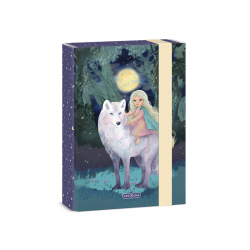 Box na se�ity A5 Northern Lights ARS UNA