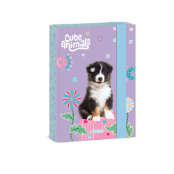 Box na se�ity A5 Aussie ARS UNA