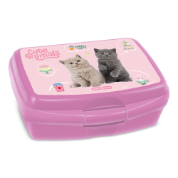 Box na sva�inu Tea Party ARS UNA