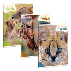 Seit A4 40 listov Icons of the wild ARS UNA